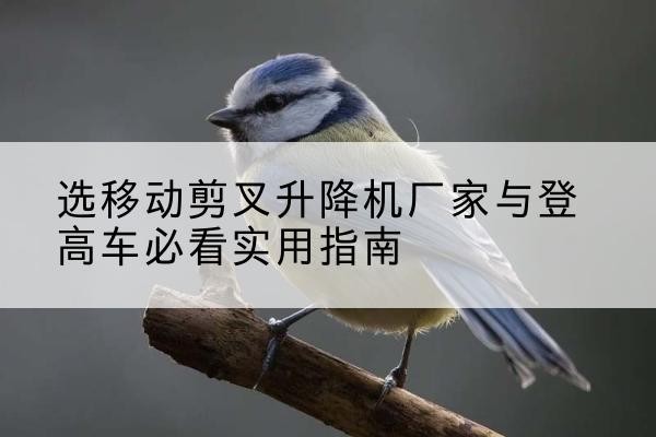 龙华电动升降机厂家-选移动剪叉升降机厂家与登高车必看实用指南